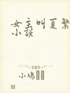 女主叫夏繁星的小说