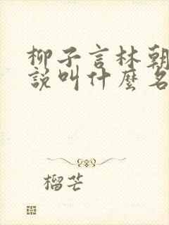 柳子言林朝颜小说叫什么名字