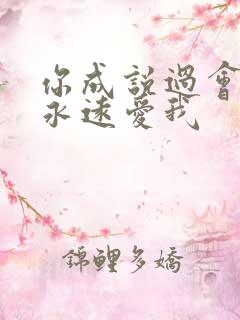 你成说过会给我永远爱我