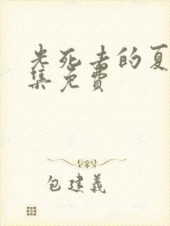 光死去的夏天全集免费