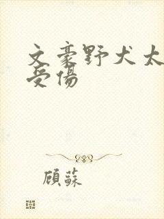 文豪野犬太宰治受伤