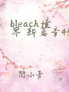 bleach境界 新篇章45集全