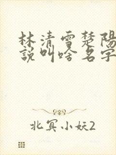 林清雪楚阳的小说叫啥名字