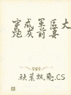 穿成军区大佬的炮灰前妻