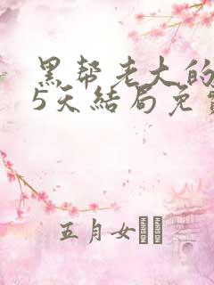 黑帮老大的365天结局免费观看全集第3季