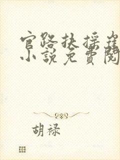 官路扶摇崔向东小说免费阅读