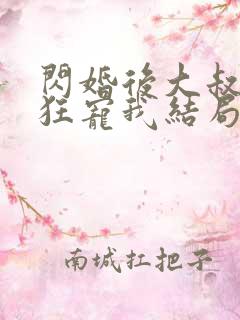 闪婚后大叔每天狂宠我结局是什么