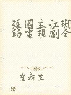 张国立江珊主演的电视剧全集