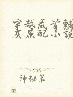 穿越成首辅的炮灰原配小说免费阅读