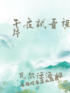 午夜试看视频毛片