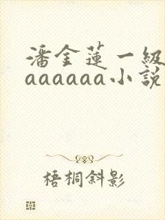 潘金莲一级淫片aaaaaa小说