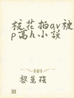校花拍av被np高h小说
