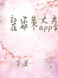 许你万丈光芒好在哪个app能免费阅读