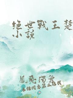 绝世战王楚凌天小说