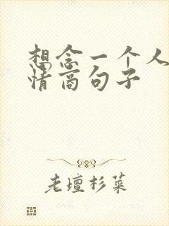 想念一个人的高情商句子