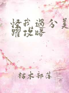 怪我过分美丽边跃攻略