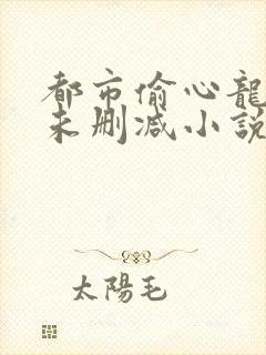 都市偷心龙爪手未删减小说