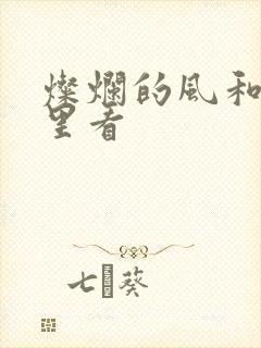 灿烂的风和海哪里看