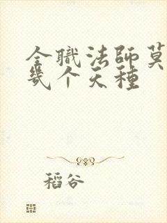 全职法师莫凡有几个天种