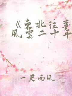 《东北往事黑道风云二十年》