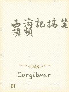 西游记搞笑配音视频