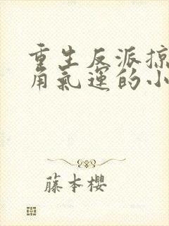 重生反派掠夺主角气运的小说