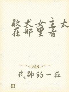 败犬女主太多了在哪里看