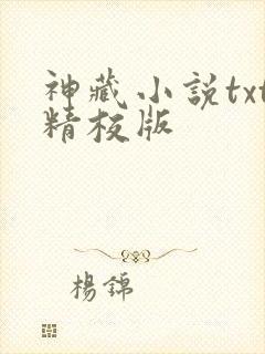 神藏小说txt精校版