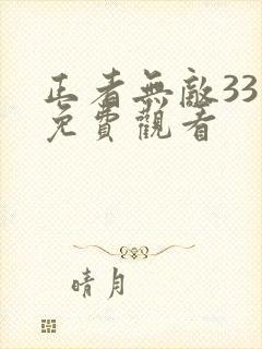 正者无敌33集免费观看