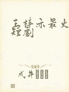 王梓亦最火十部短剧