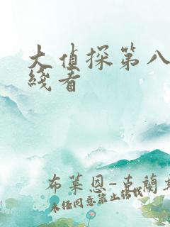 大侦探第八季在线看