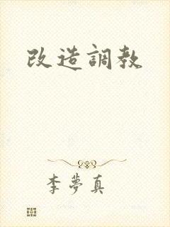 改造调教
