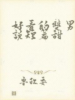 好看的双男主小说短篇甜