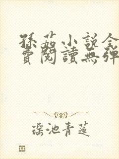 孙茹小说全文免费阅读无弹窗