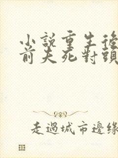 小说重生后嫁给前夫死对头