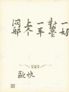 网上一对一英语哪个平台好