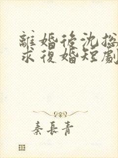 离婚后沈总天天求复婚短剧免费观看