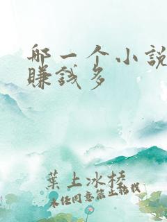 哪一个小说软件赚钱多