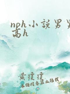nph小说男男高h