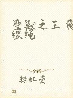 圣兽之王 飞龙缰绳