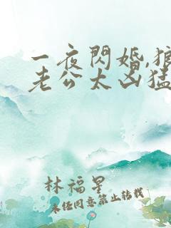 一夜闪婚,狼性老公太凶猛结局