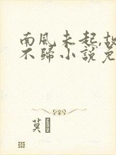 南风未起,故人不归小说免费阅读