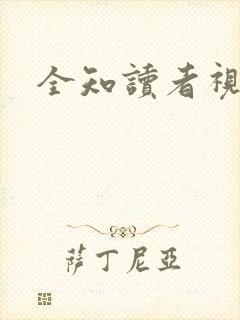 全知读者视角小