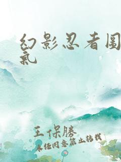 幻影忍者图片帅气