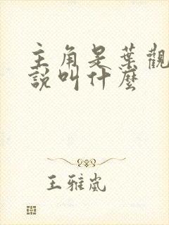 主角是叶观的小说叫什么