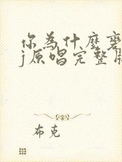 你为什么变了dj原唱完整版