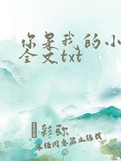 你是我的小确幸全文txt