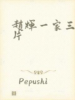 赵辉一家三口照片