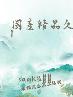 国产精品久久久l