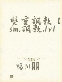 双重调教【bdsm,调教,1v1